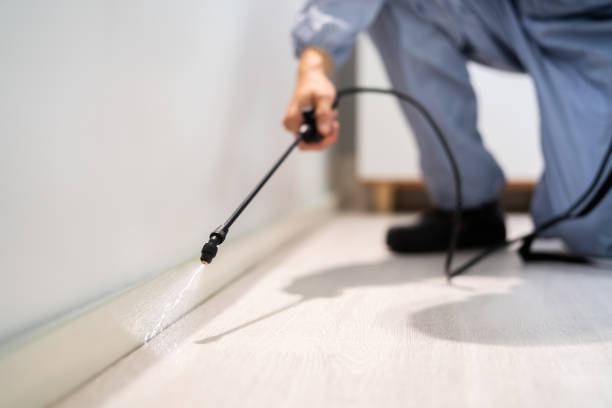 Licensed Pest Control service in Helena Valley Northwest, MT - Show Me Pest Control